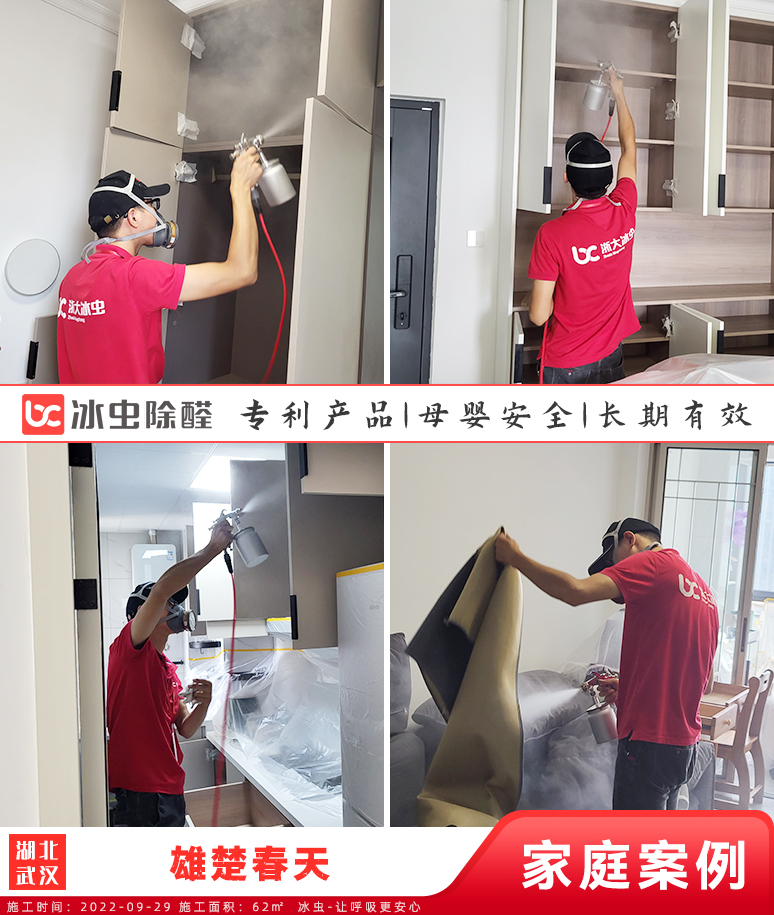 雄楚春天--武汉除甲醛