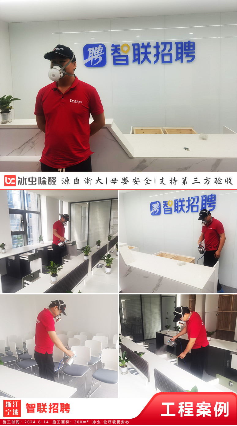 冰虫除甲醛案例-智联招聘