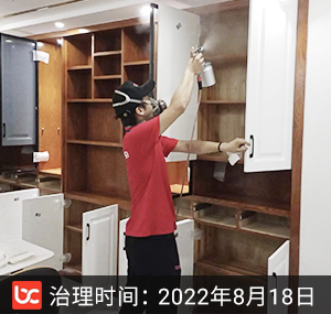 东方樾东福春晓--杭州�