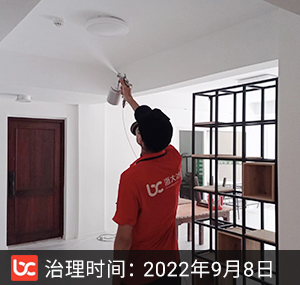 九润公寓--杭州除甲醛