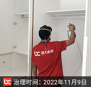 时代芳华--杭州除甲醛