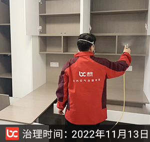 宝山八村--上海除甲醛