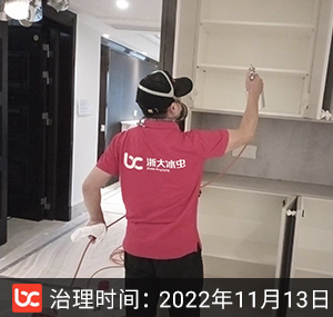 中央公馆-杭州除甲醛