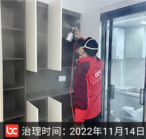 新城璟汇--武汉除甲醛