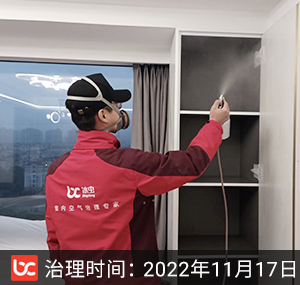 滨沁公寓-杭州除甲醛