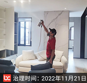 一品漫城-上海除甲醛