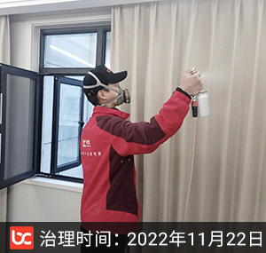 倾城之恋-杭州除甲醛