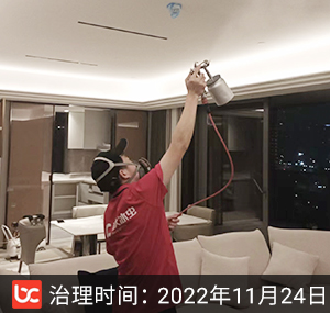 壹号院-杭州除甲醛