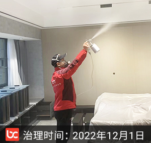 江东府-杭州除甲醛