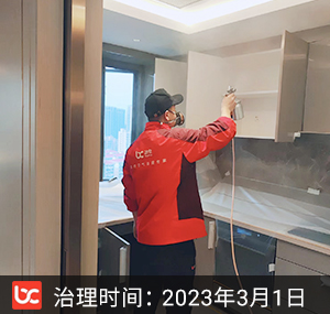 凤起钱潮--杭州除甲醛