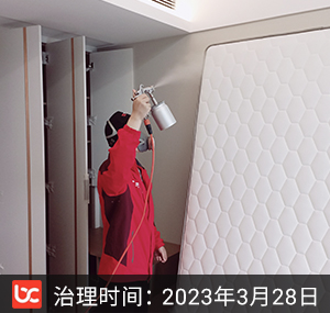 江上湾--杭州除甲醛