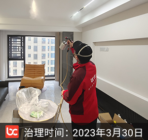 嘉兴除甲醛