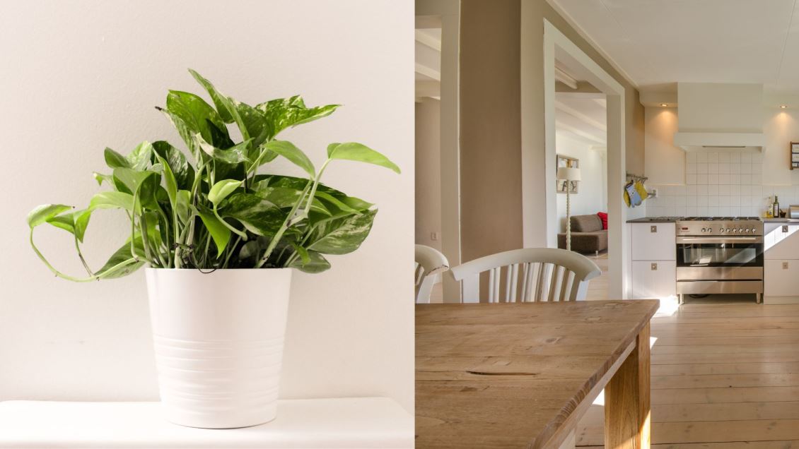 甲醛对呼吸系统危害机