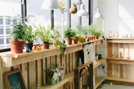 新房除甲醛哪个方法最管用？