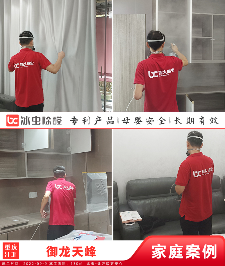 御龙天峰--重庆除甲醛