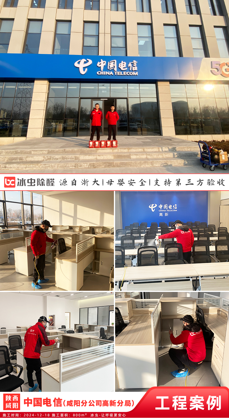 冰虫除甲醛案例-中国电信(咸阳分公司高新分局)