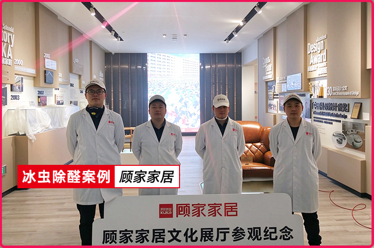 冰虫除甲醛案例-顾家家居