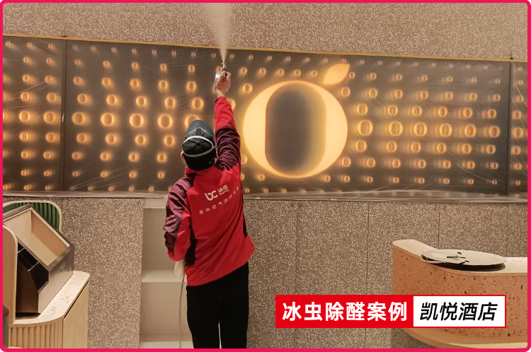 冰虫除甲醛案例-桔子酒店