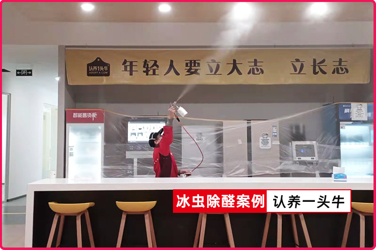 冰虫除甲醛案例-认养一头牛