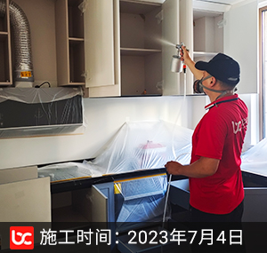 瑞悦府除甲醛