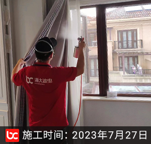 大华西溪风情除甲醛