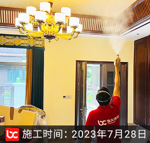 藏龙倚湖逸墅除甲醛
