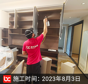 铂金府邸除甲醛