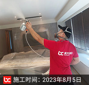 仁恒滨江园除甲醛