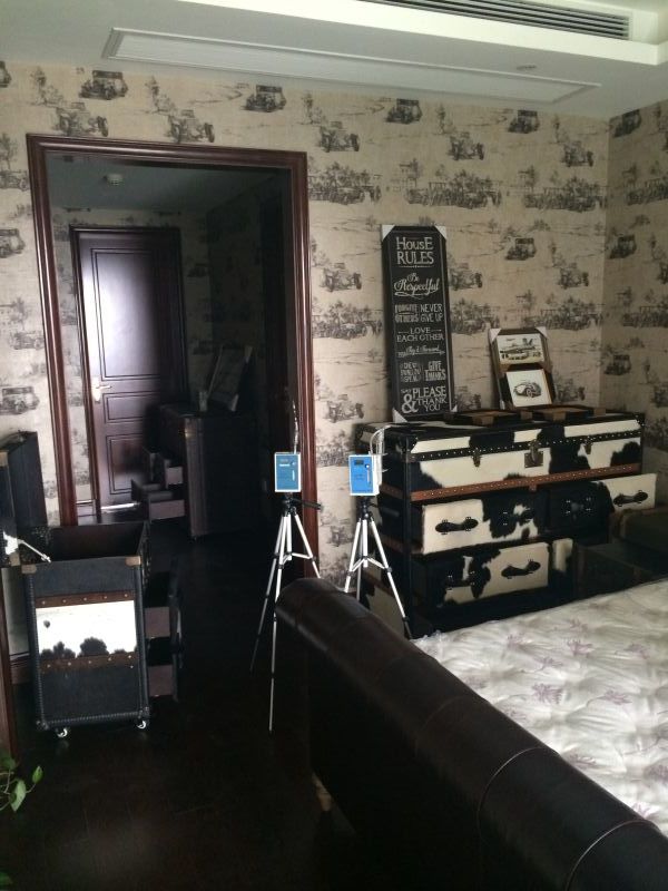 冰虫除甲醛工程师在执