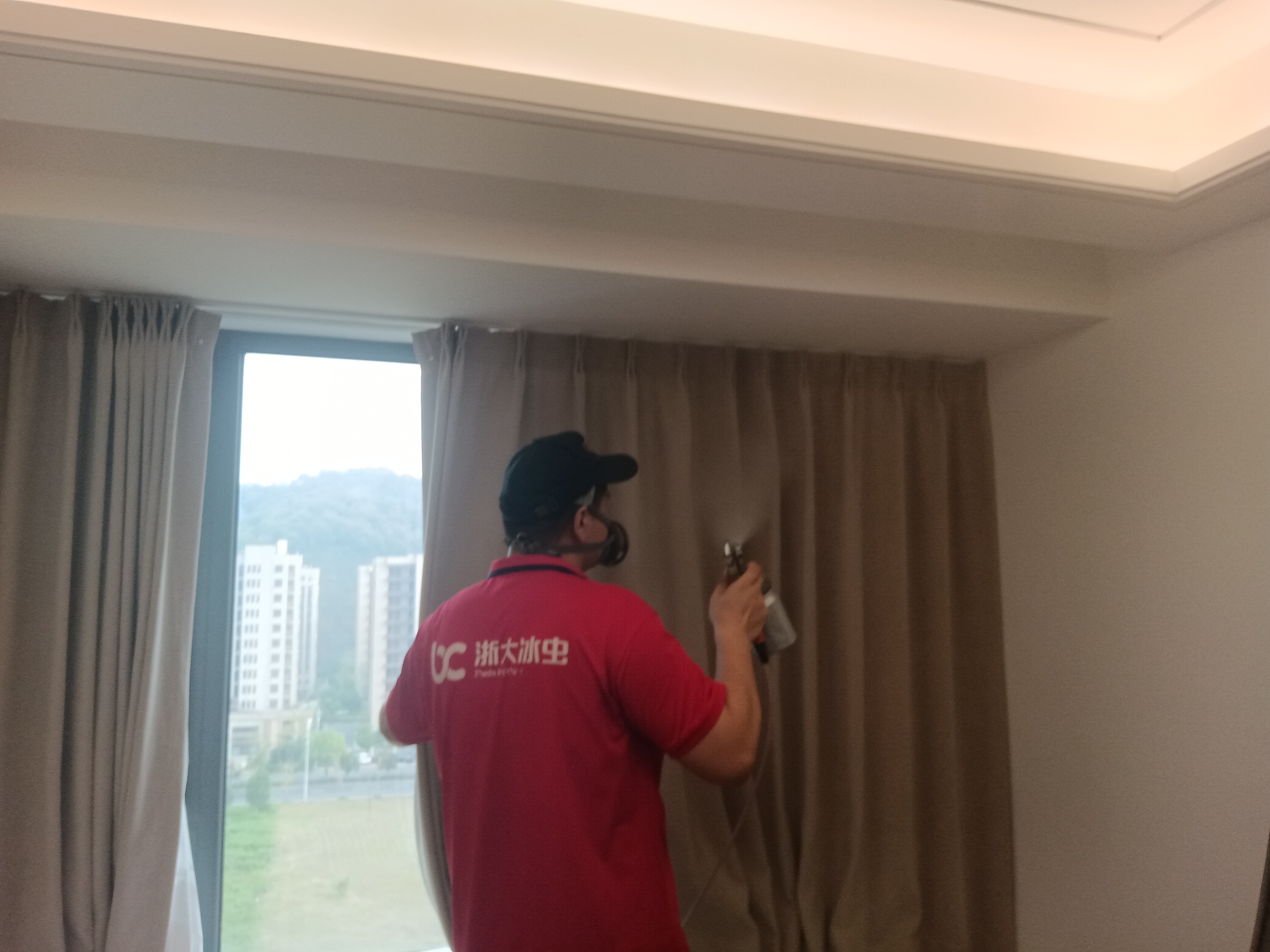 冰虫除甲醛专业技术人