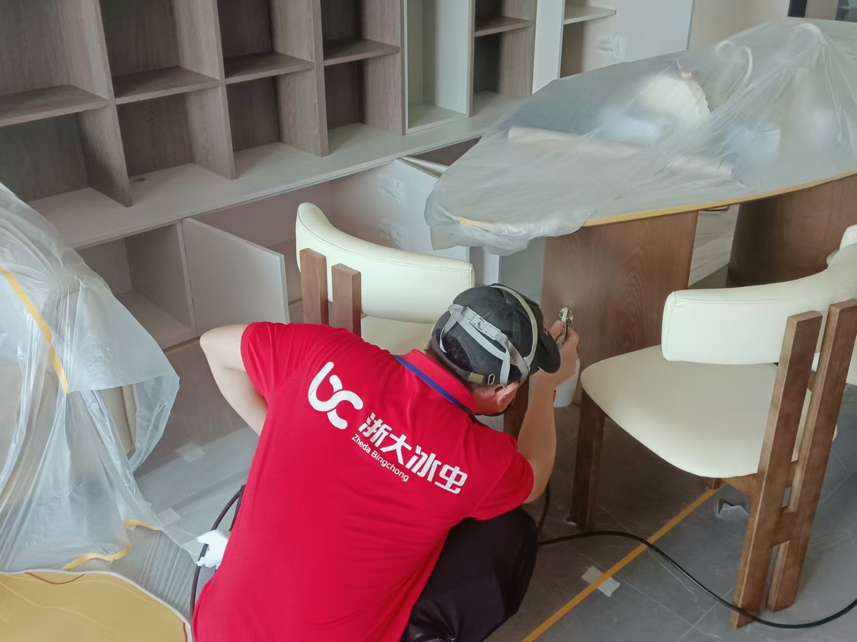 冰虫除甲醛专业顾问上