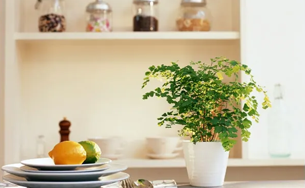 温度升高时甲醛释放加