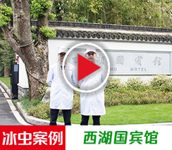 冰虫除甲醛