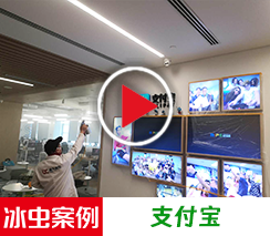 冰虫除甲醛