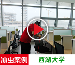 冰虫除甲醛