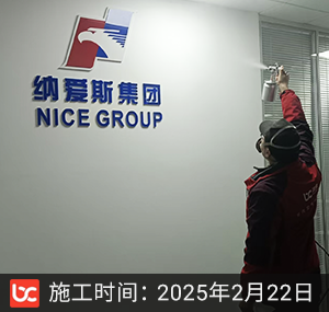 纳爱斯l除甲醛