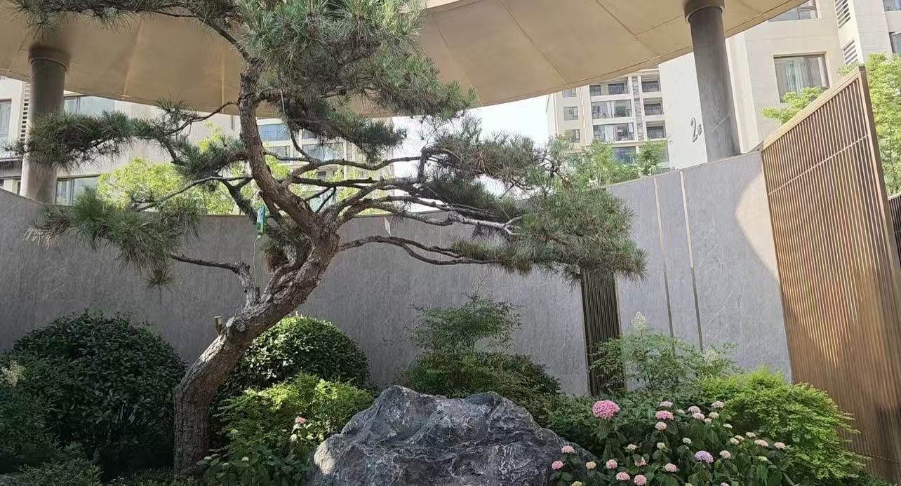 招商美景美境 招商美景美境