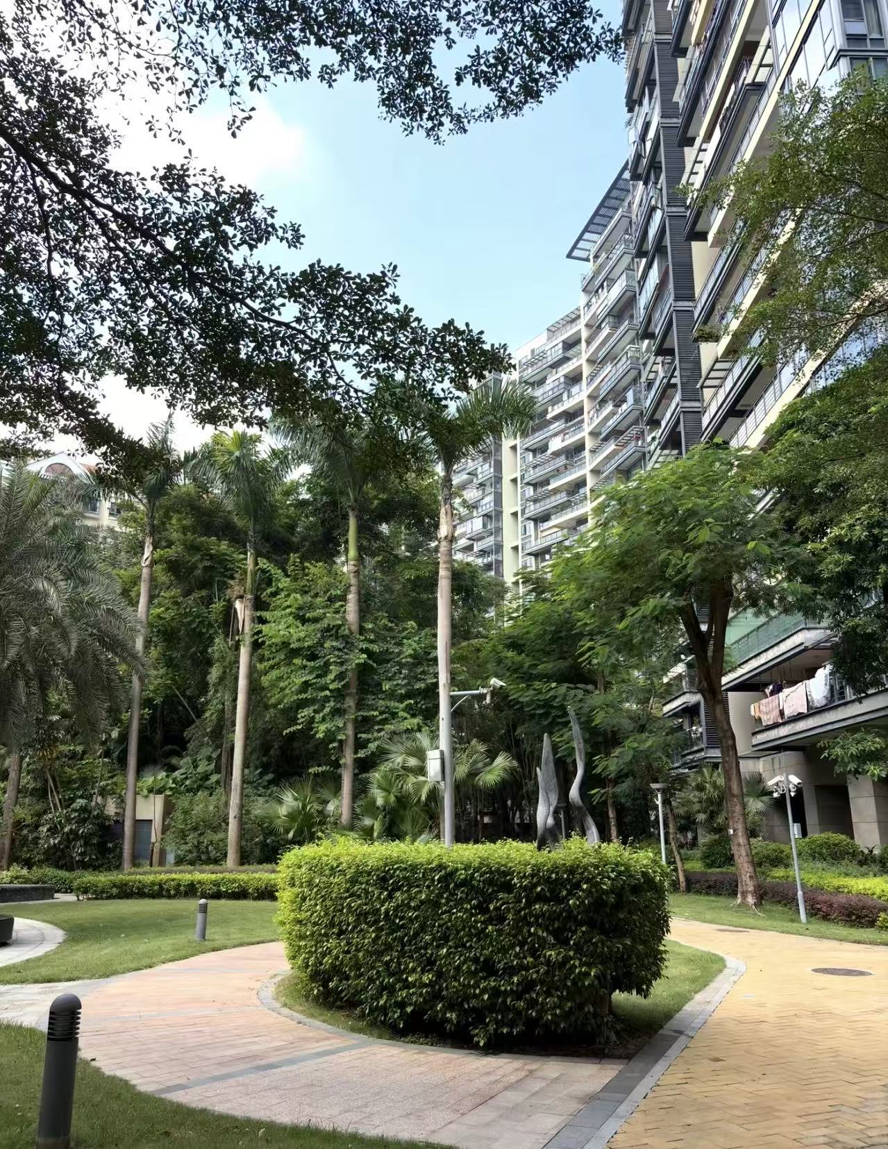 华侨城纯水岸